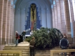 Christbaum-2009_11